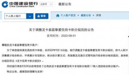 龙卡爆料最新消息,揭秘神秘项目，行业变革即将到来！